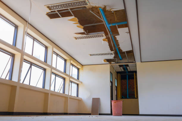 Carpet water damage restoration in Salt Lake City, UT