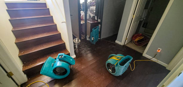 Best Residential water damage restoration  in Salt Lake City, UT