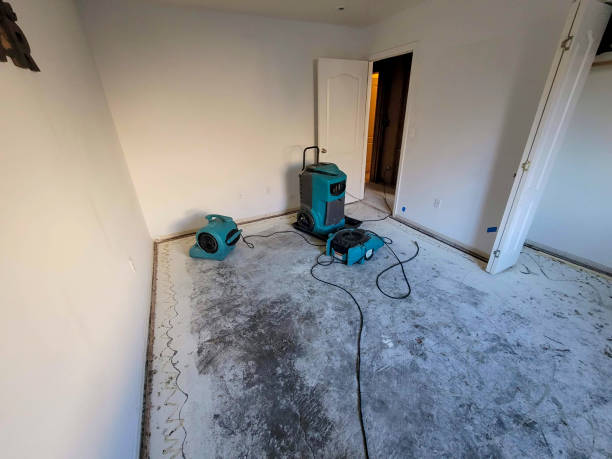 Best Local water damage restoration  in Salt Lake City, UT