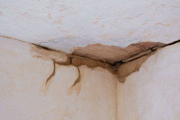 Best Water damage restoration near me  in Salt Lake City, UT
