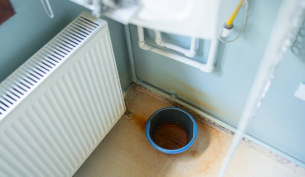 Best Professional water damage repair  in Salt Lake City, UT